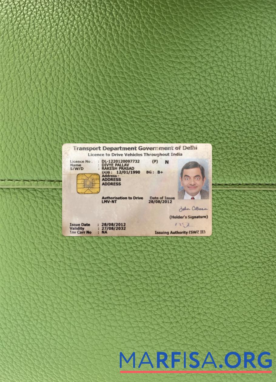 Printable India Delhi driving license photolook real example